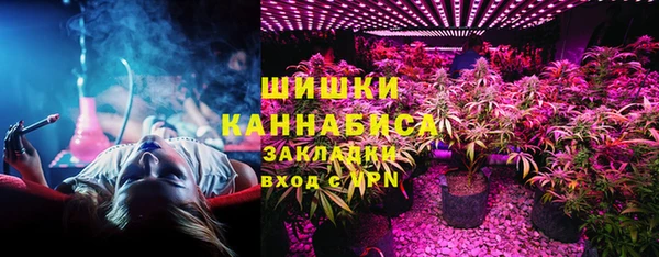 гашик Медногорск