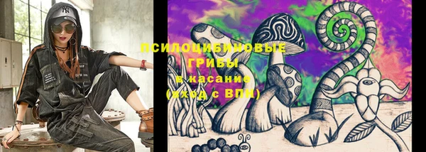 соль ск Мегион