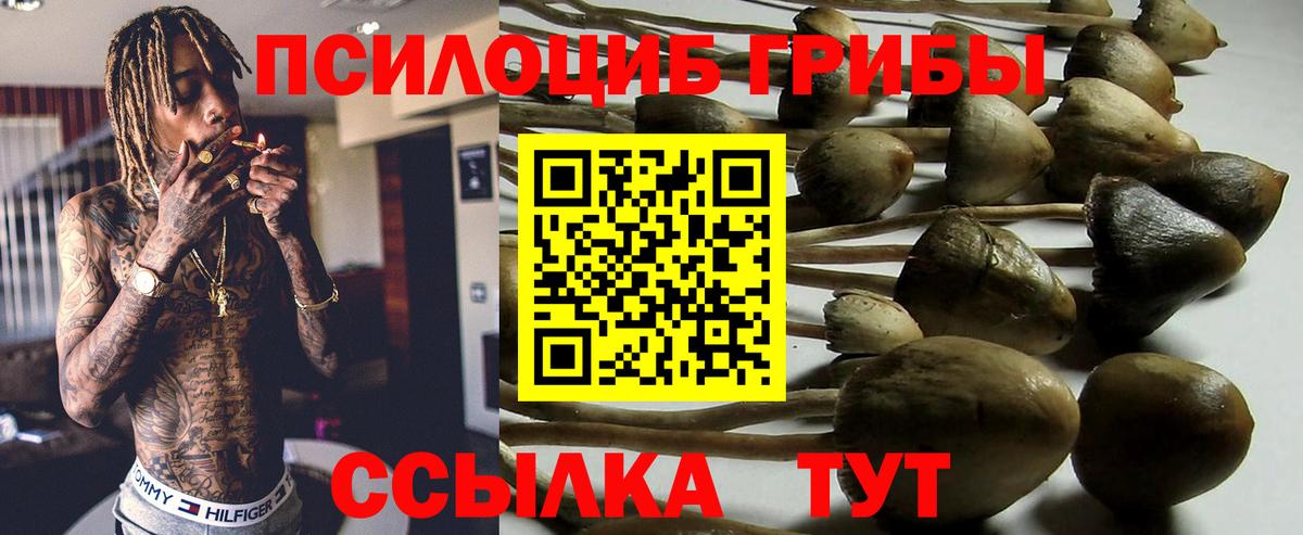 Новокузнецк  Псилоцибиновые грибы мухоморы  Вход с VPN  Галлюциногенные грибы Magic Shrooms 