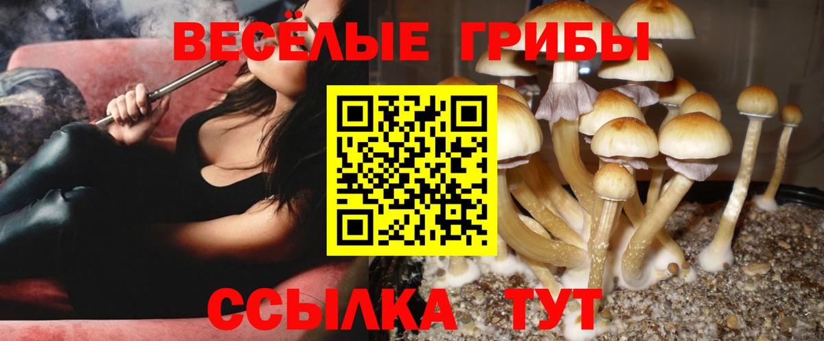 Галлюциногенные грибы мухоморы Новокузнецк